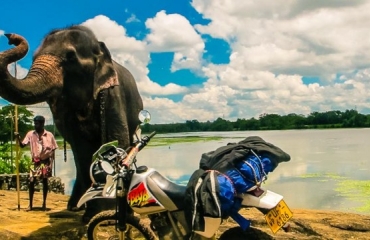 słonie na Sri Lance to częsty widok, podróże motocyklowe Sri Lanka